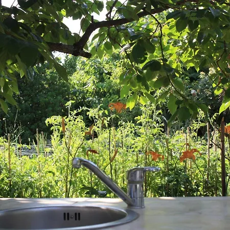 Ferienhaus Robinson House In Vrvari With Balcony, Air Conditioning, Wifi, Dishwasher 5195-2 *